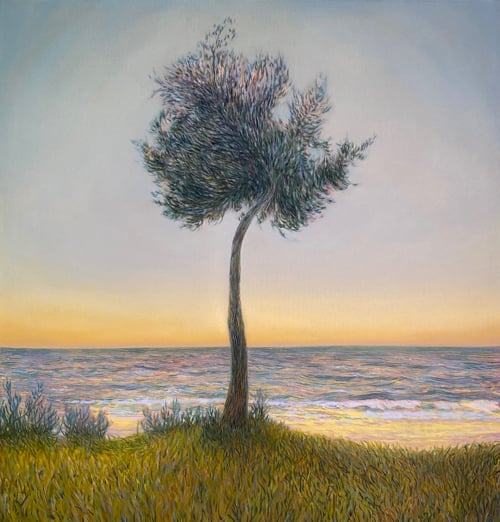 Paul McIntyre