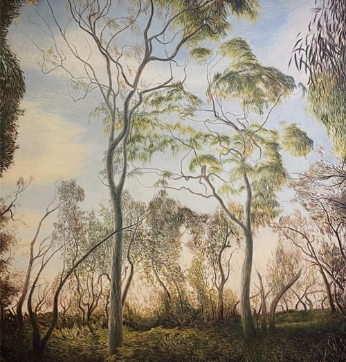 Paul McIntyre