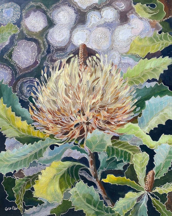 Infinite Light on Banksia Serrata