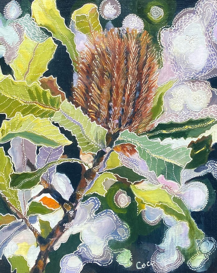 Kaleidscope of Light on Old man Banksia