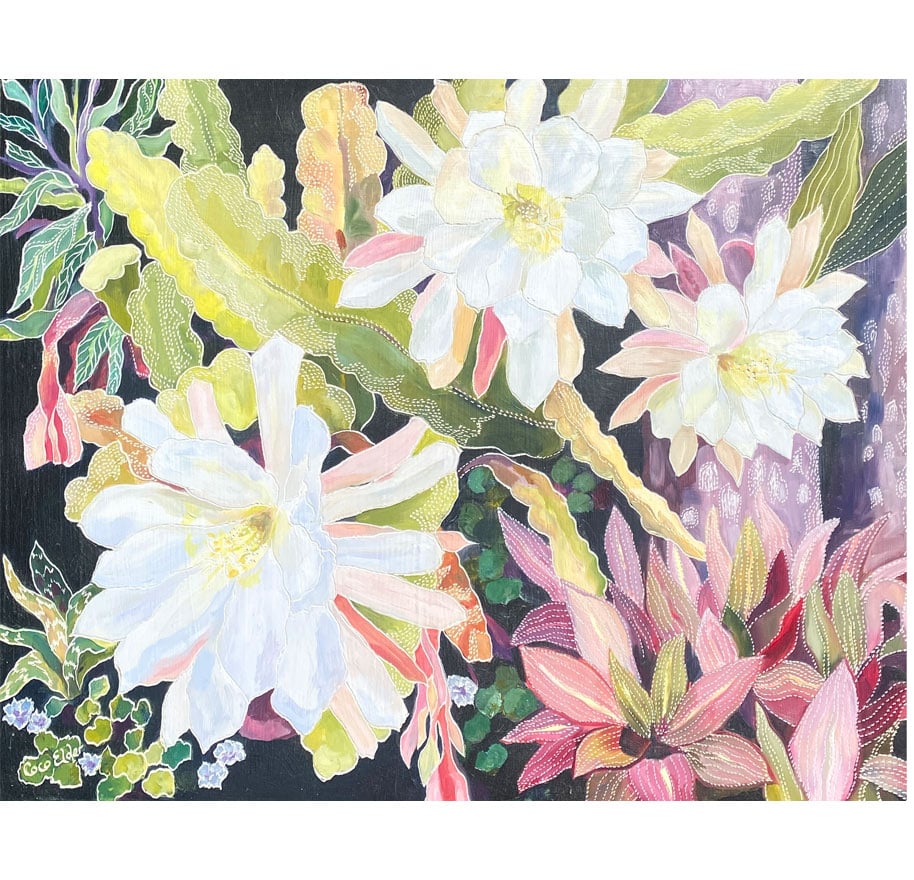 Epiphyllum Orchid in the Night