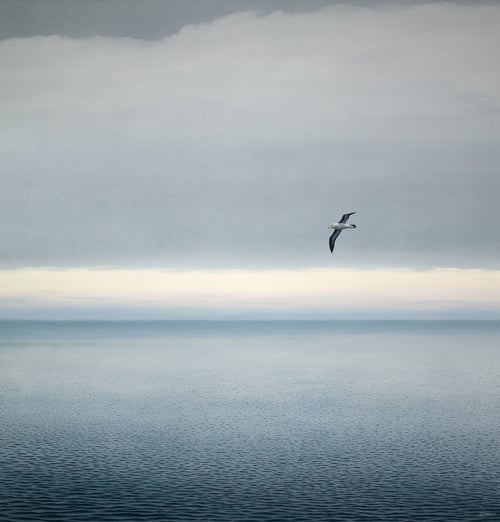 Richard Stanley